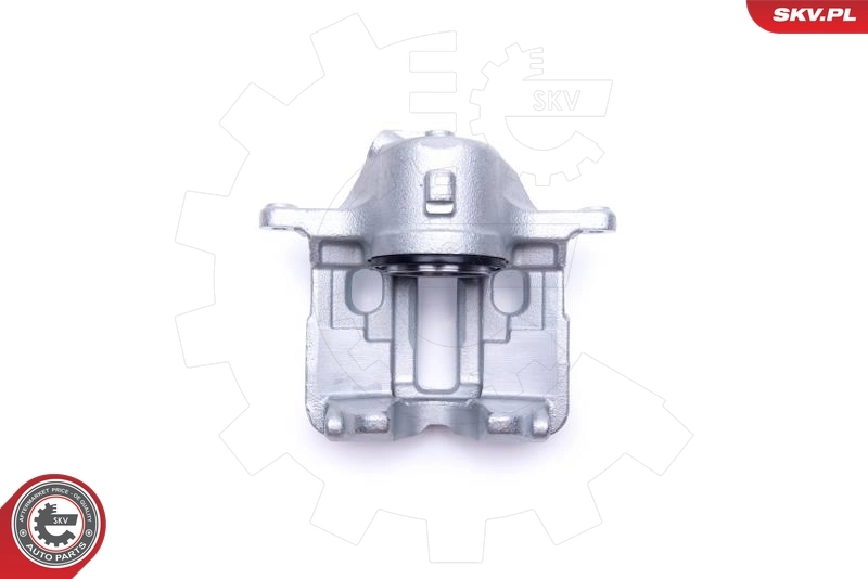 Brake Caliper 55SKV641