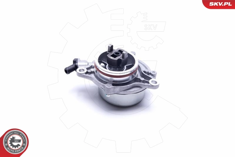 Vacuum Pump, braking system 18SKV046