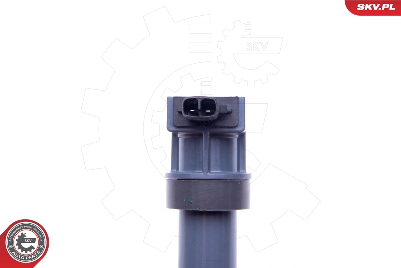 Ignition Coil 03SKV313