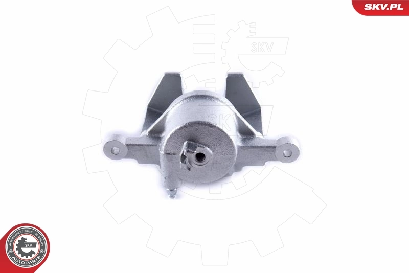 Brake Caliper 55SKV112