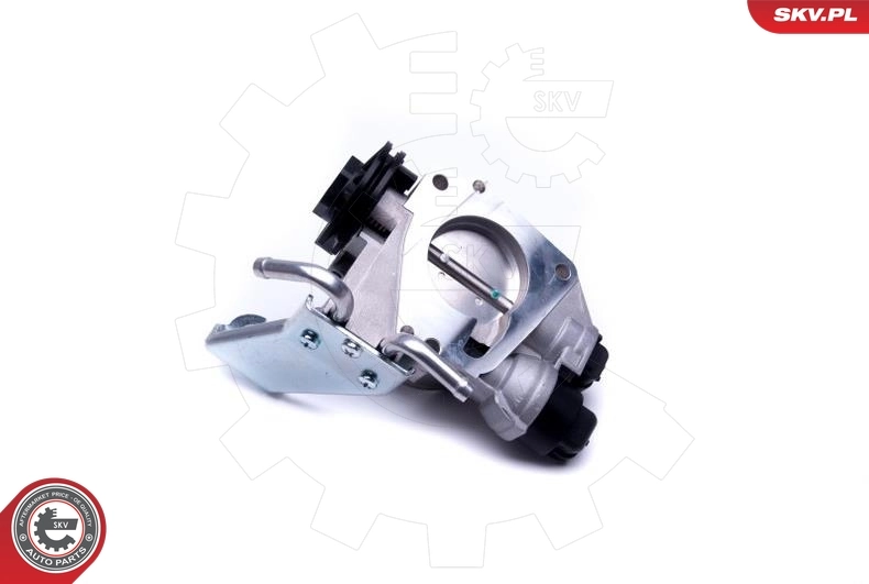 Throttle Body 12SKV084