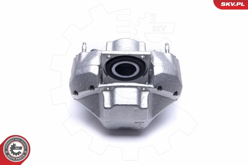 Brake Caliper 55SKV402