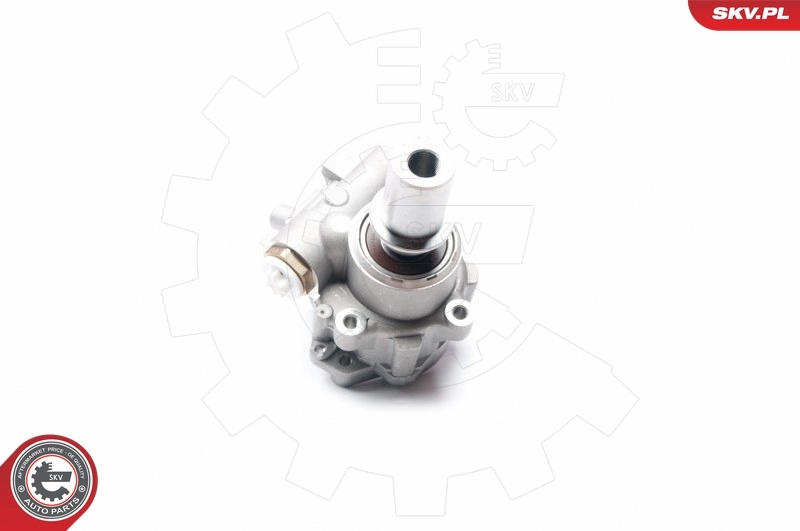 Hydraulic Pump, steering 10SKV217