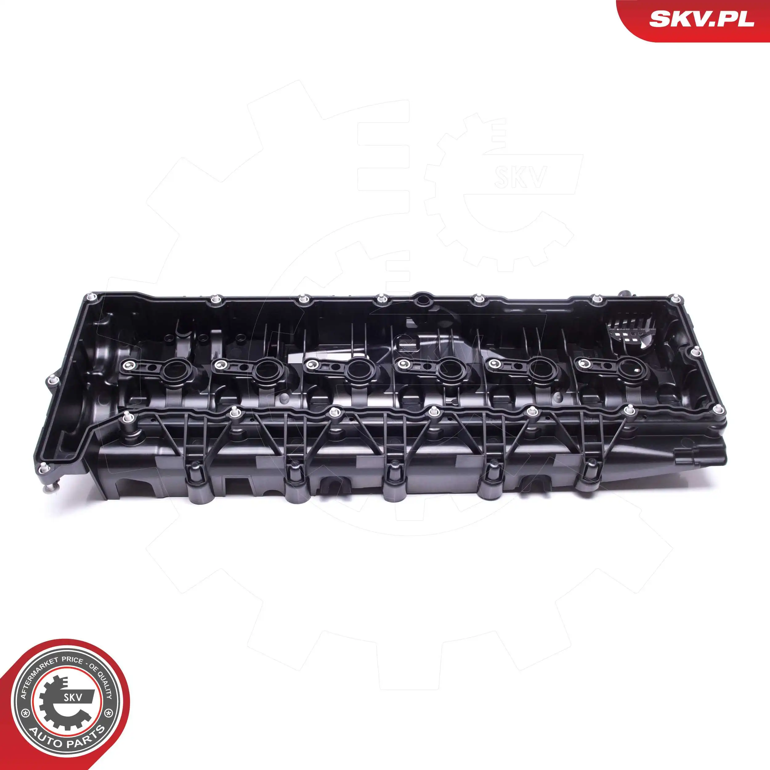 Cylinder Head Cover 48SKV079