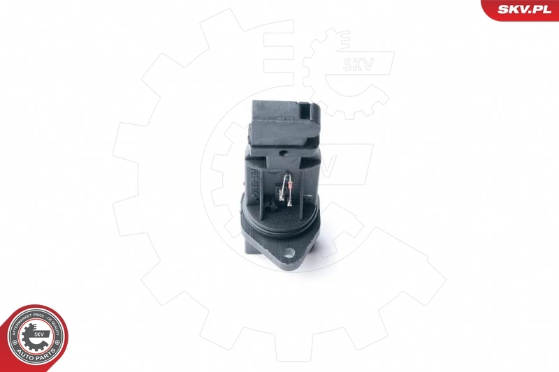 Mass Air Flow Sensor 07SKV501