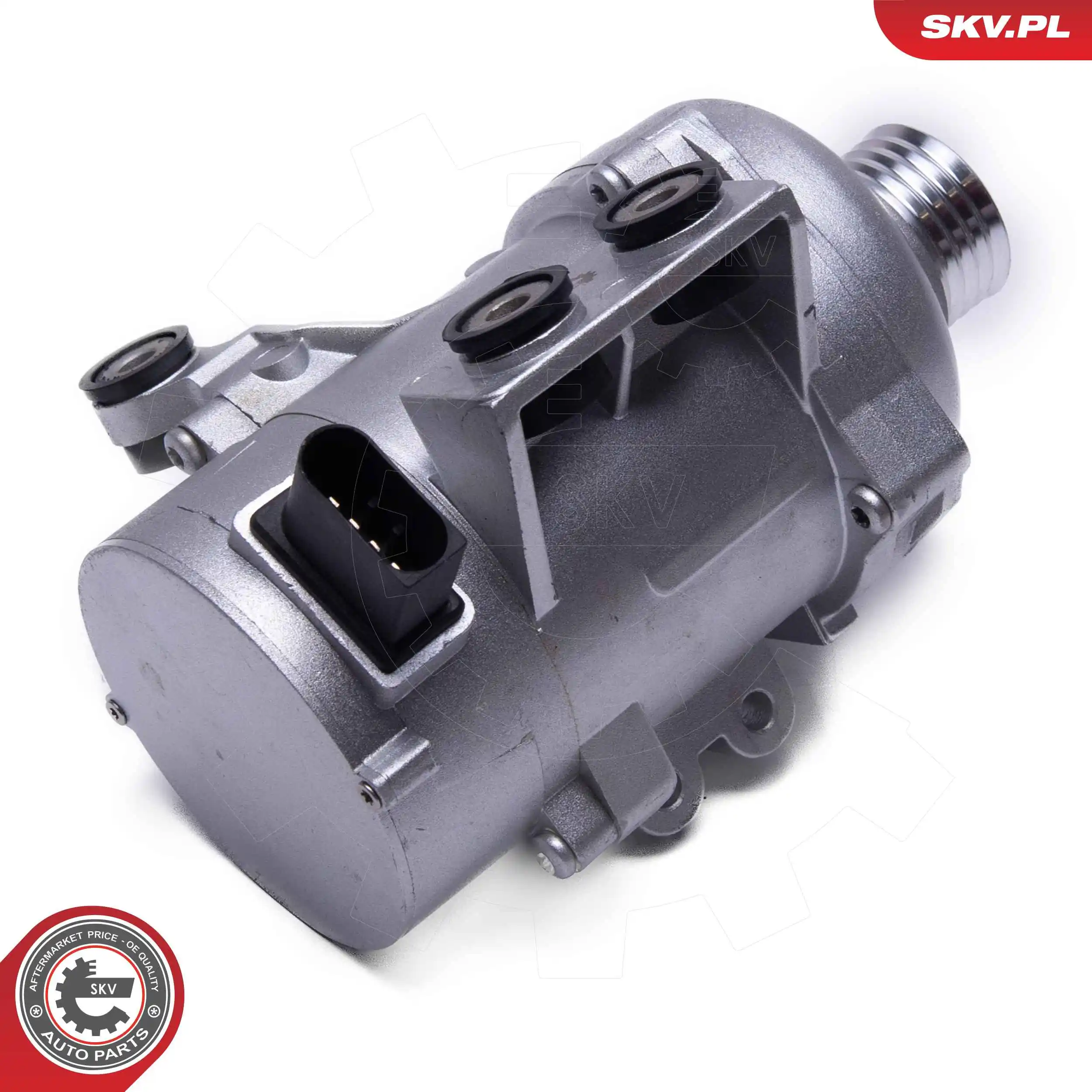 Water Pump, engine cooling 22SKV046