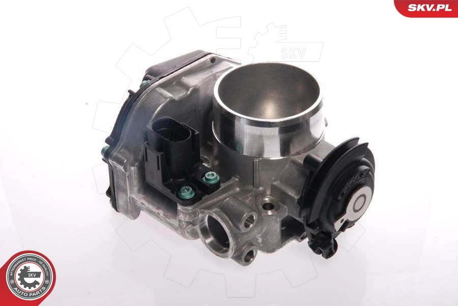 Throttle Body 12SKV019