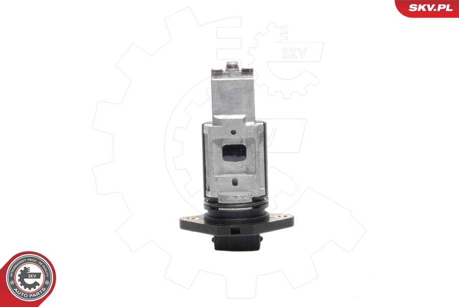 Mass Air Flow Sensor 07SKV002