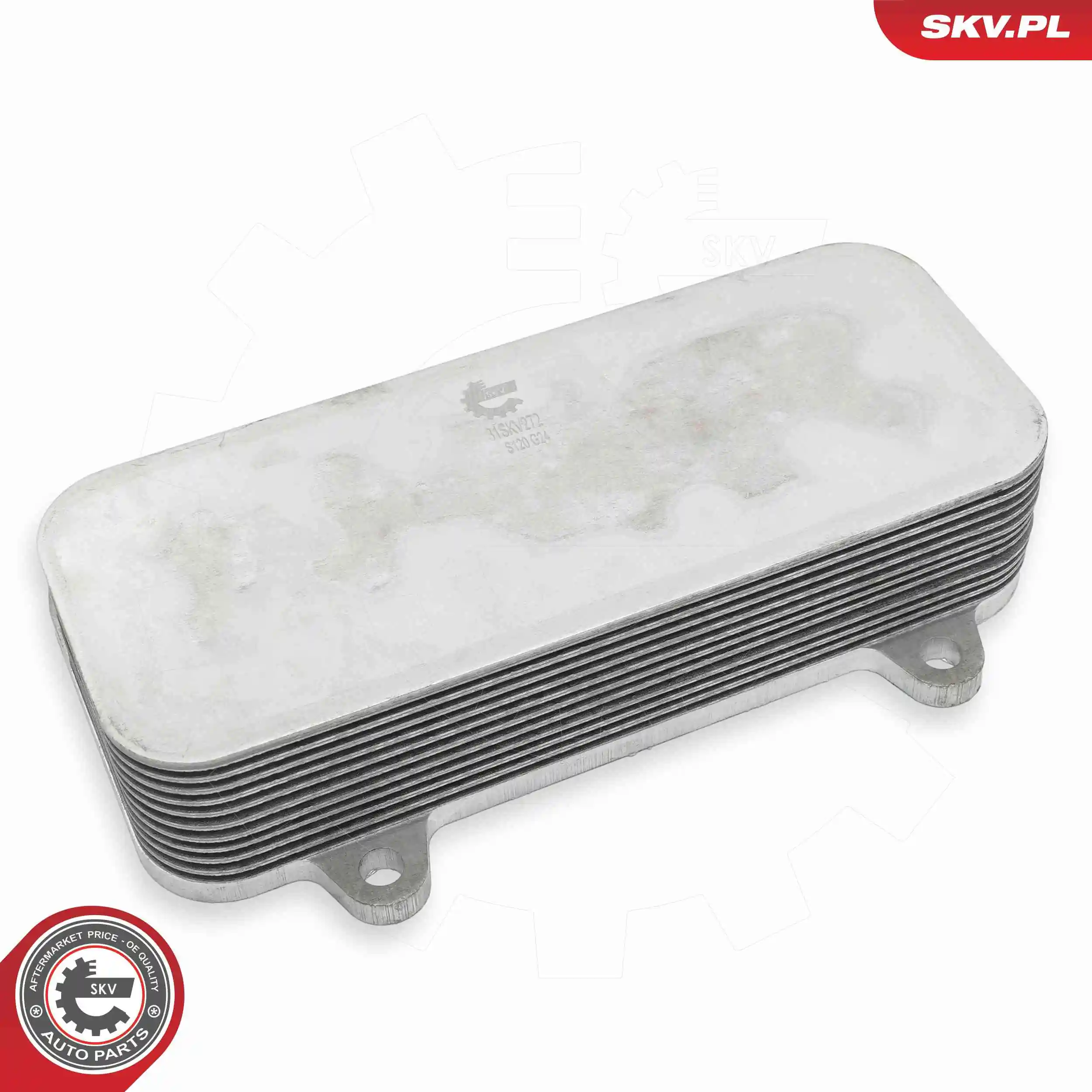 Oil Cooler, engine oil 31SKV272