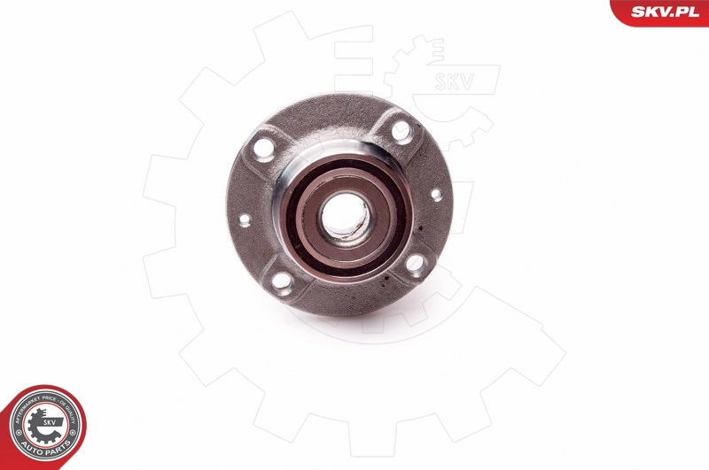 Wheel Bearing Kit 29SKV053