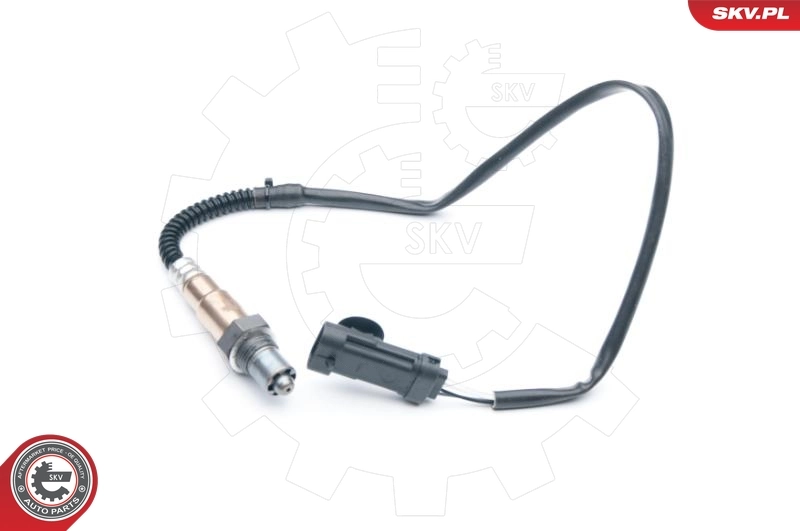 Oxygen Sensor 09SKV695
