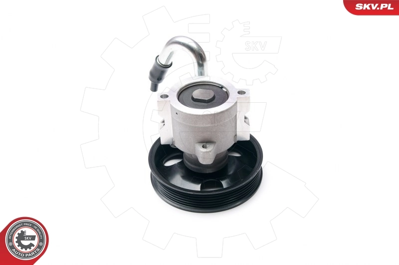 Hydraulic Pump, steering 10SKV206