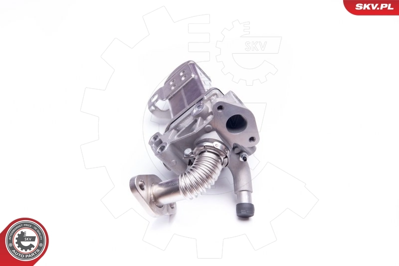 EGR Valve 14SKV135