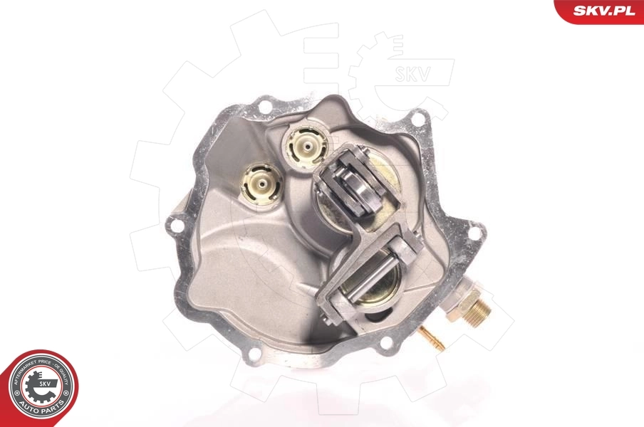 Vacuum Pump, braking system 18SKV007