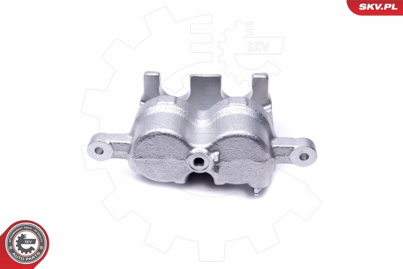 Brake Caliper 46SKV621