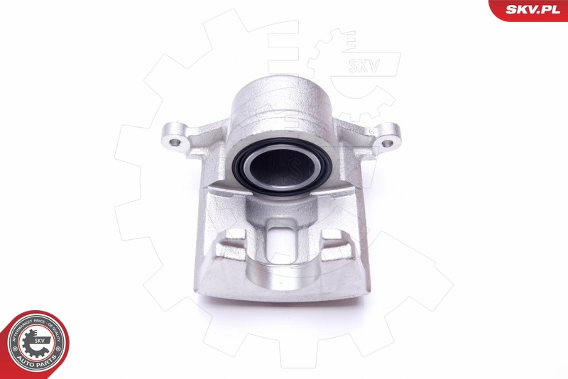 Brake Caliper 45SKV722