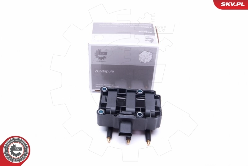 Ignition Coil 03SKV248