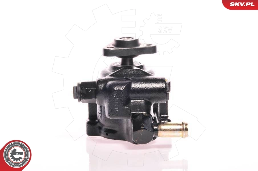 Hydraulic Pump, steering 10SKV137