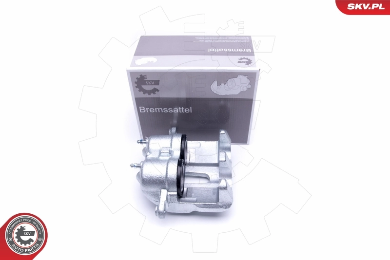 Brake Caliper 50SKV252