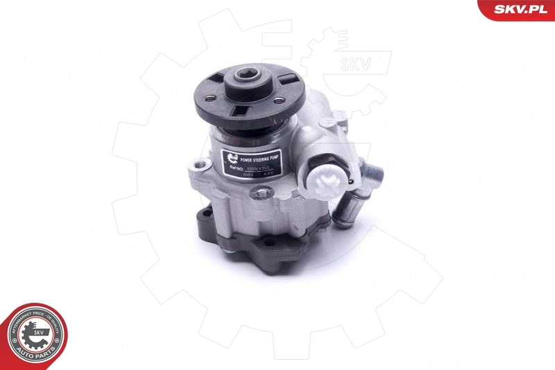 Hydraulic Pump, steering 10SKV312