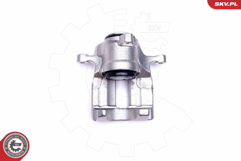 Brake Caliper 44SKV034