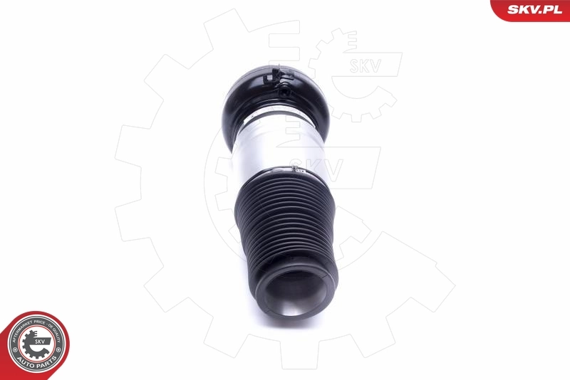 Air Suspension Strut 58SKV069