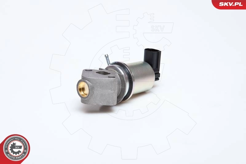 EGR Valve 14SKV043