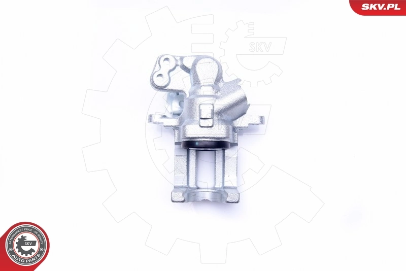 Brake Caliper 42SKV213