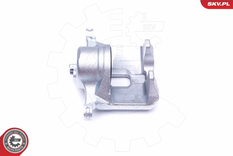 Brake Caliper 42SKV692