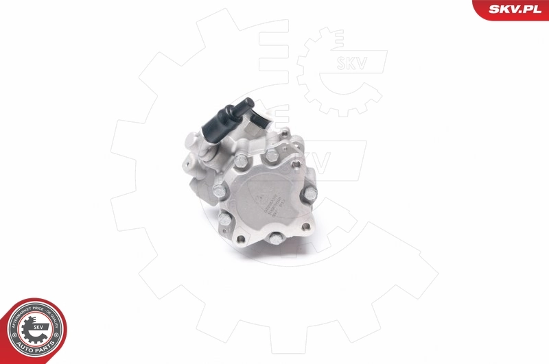 Hydraulic Pump, steering 10SKV016