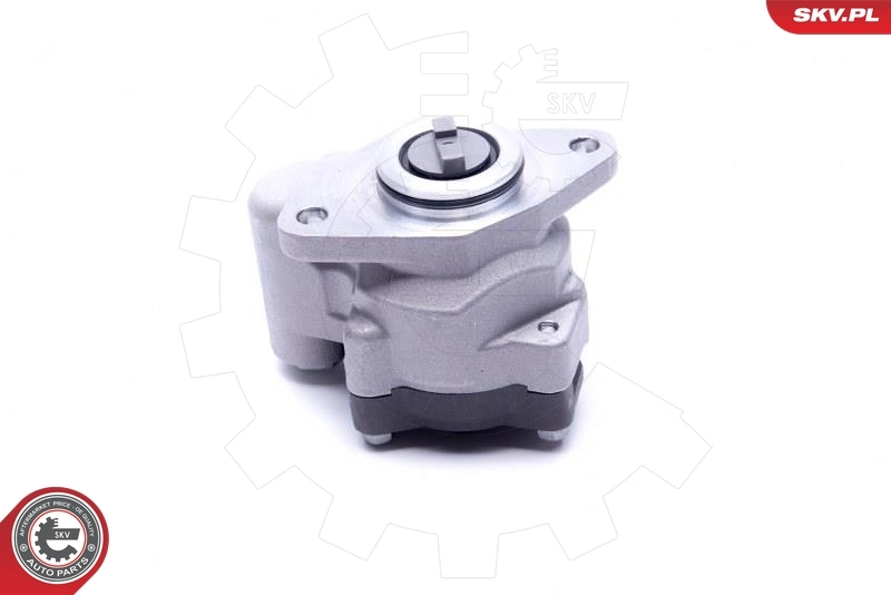 Hydraulic Pump, steering 10SKV299