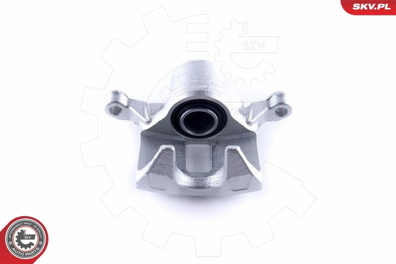 Brake Caliper 50SKV843