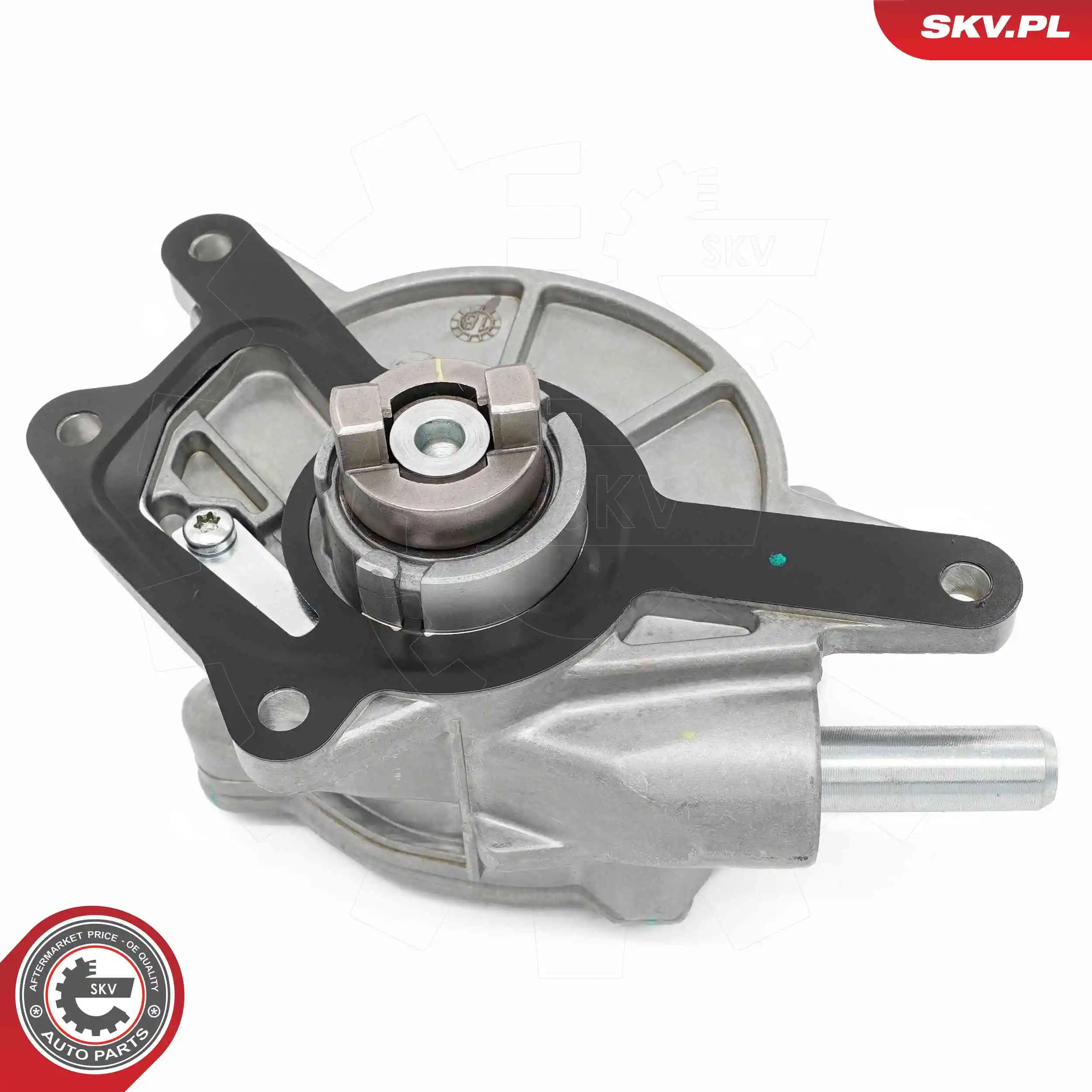 ESEN SKV 18SKV073 Vacuum Pump, braking system