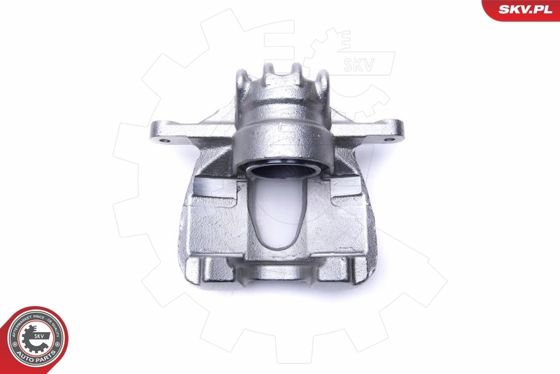 Brake Caliper 55SKV701