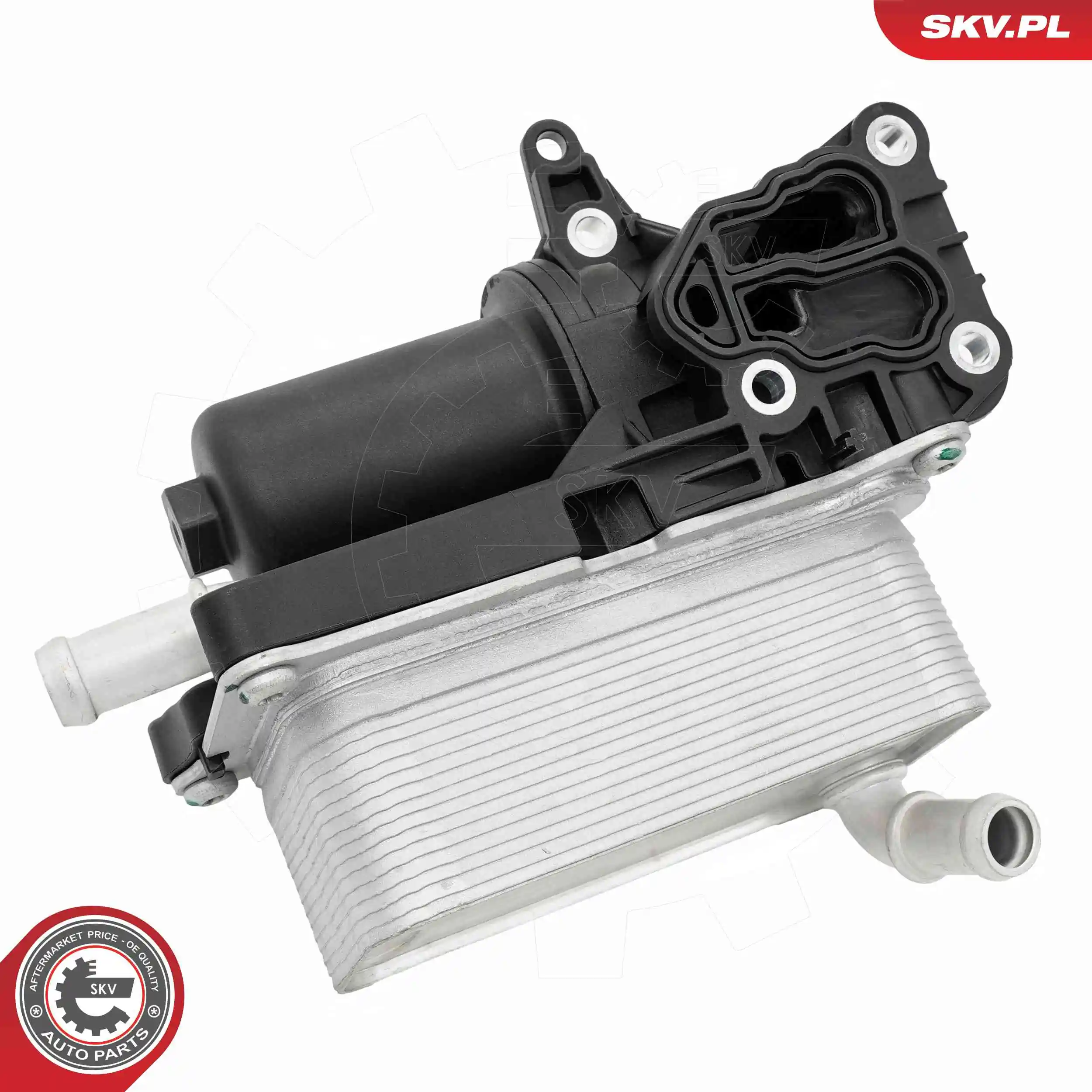 Oil Cooler, engine oil 31SKV439