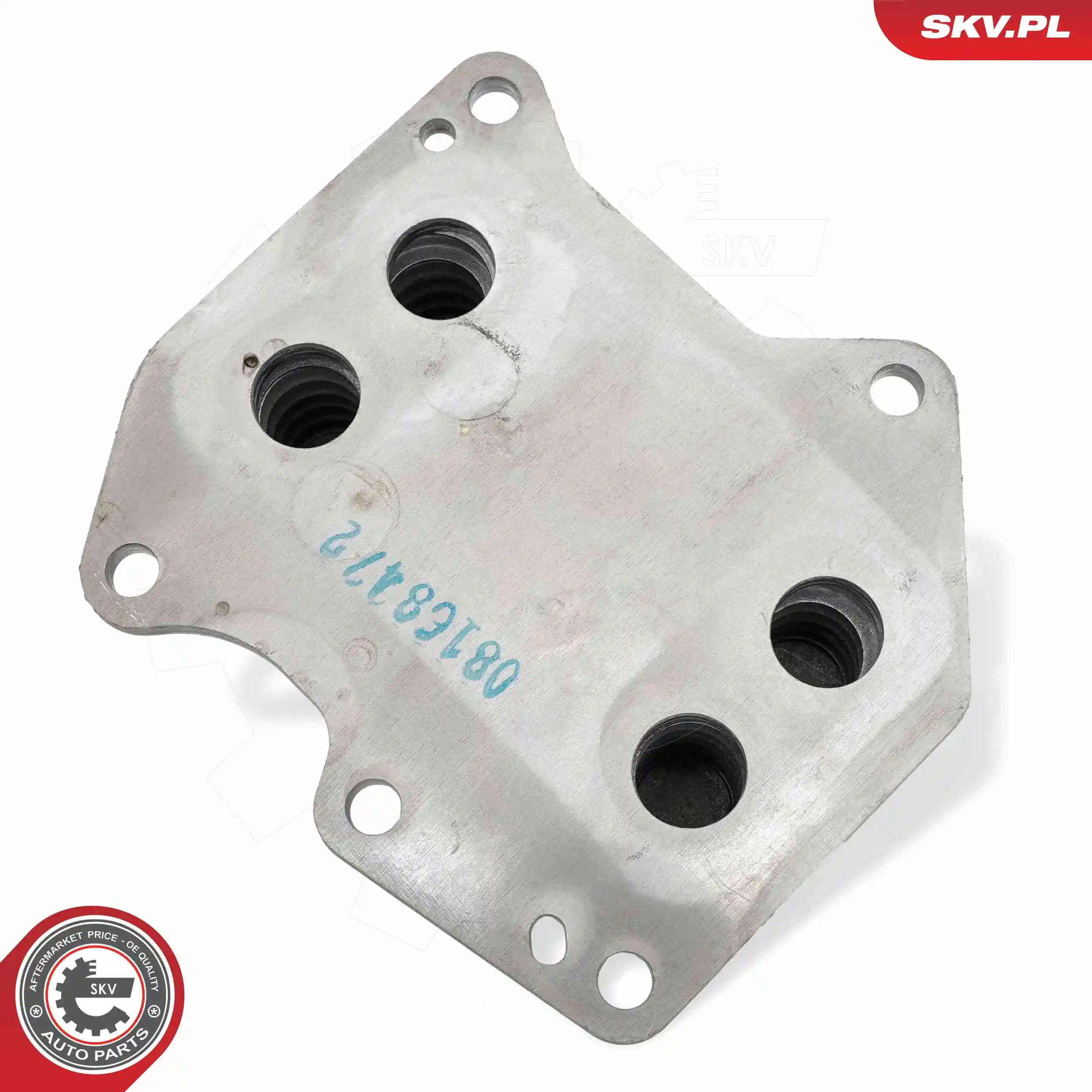 Oil Cooler, engine oil 31SKV304