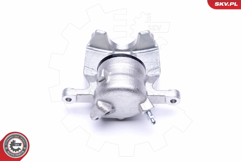 Brake Caliper 50SKV491
