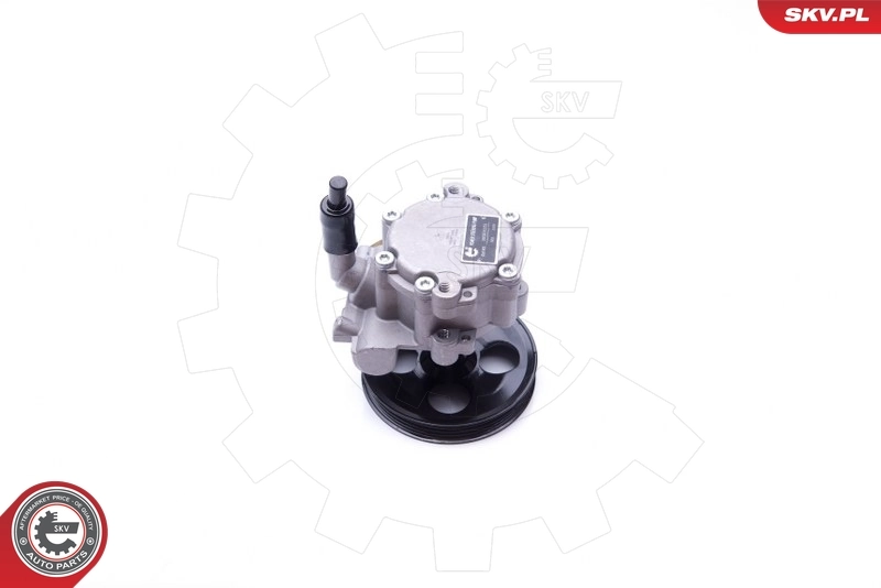 Hydraulic Pump, steering 10SKV251