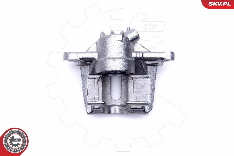 Brake Caliper 46SKV532