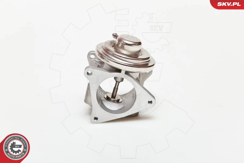 EGR Valve 14SKV019