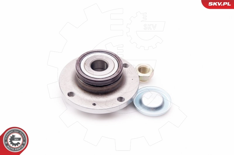 Wheel Bearing Kit 29SKV093