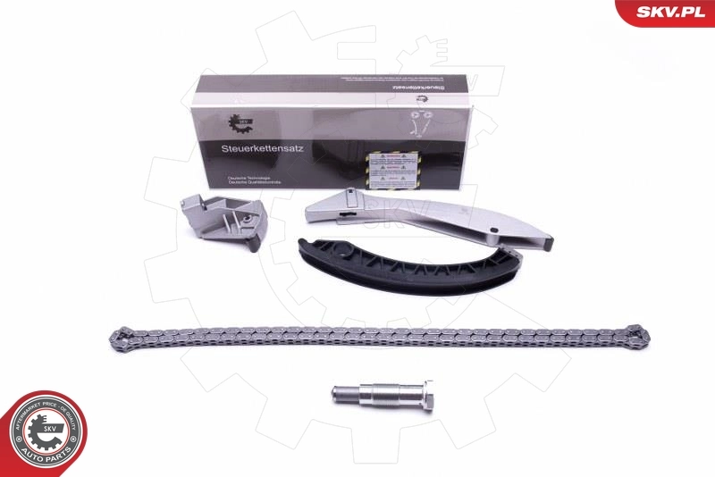 Timing Chain Kit 21SKV133