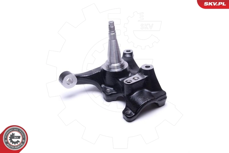 Steering Knuckle, wheel suspension 47SKV782