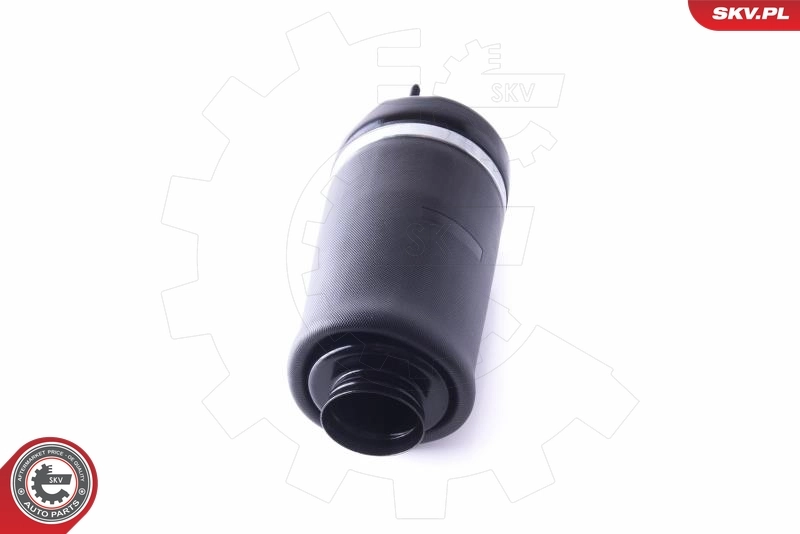 Air Spring, suspension 58SKV042