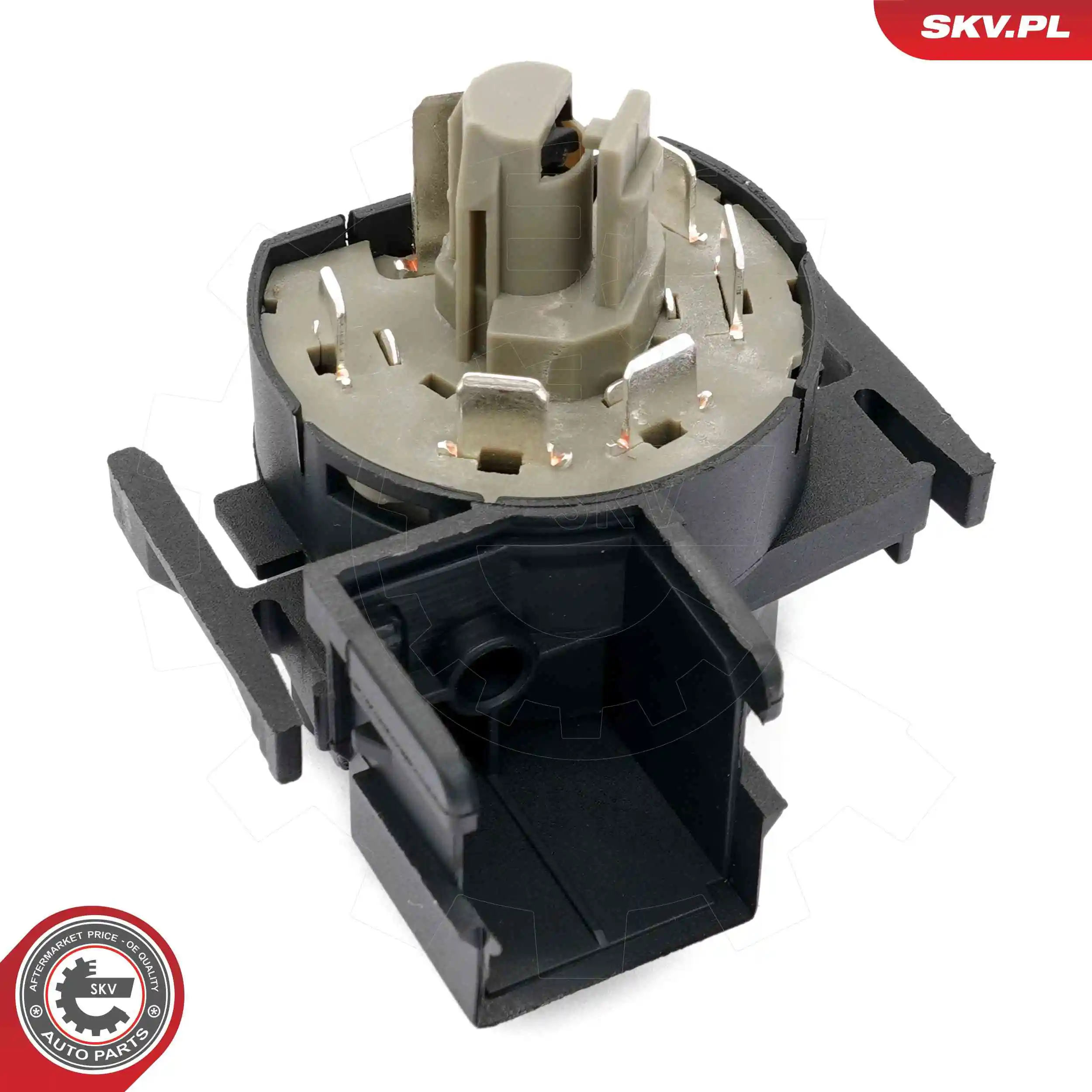 Ignition Switch 65SKV031