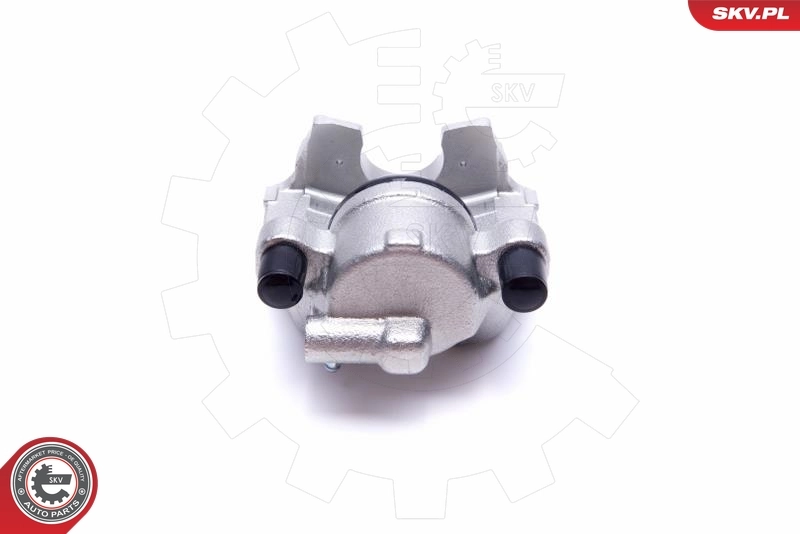 Brake Caliper 55SKV872