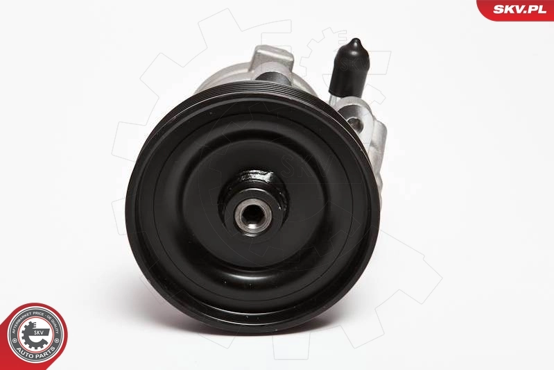 Hydraulic Pump, steering 10SKV068