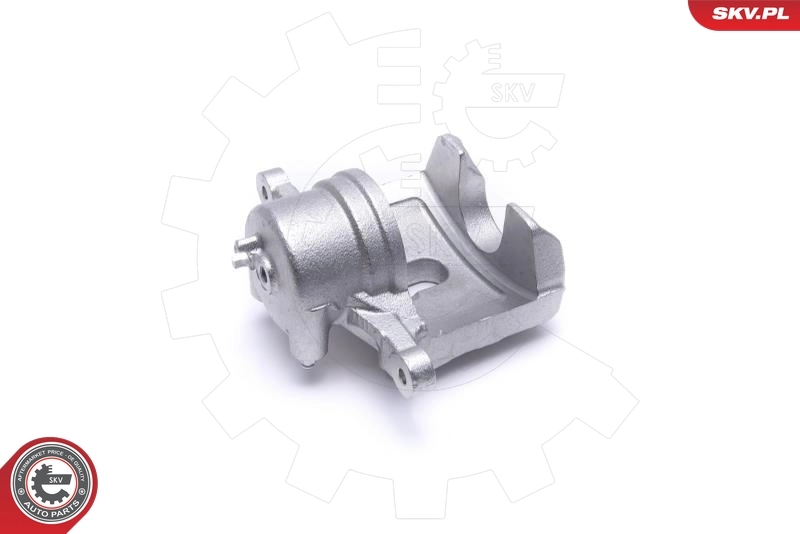Brake Caliper 46SKV832
