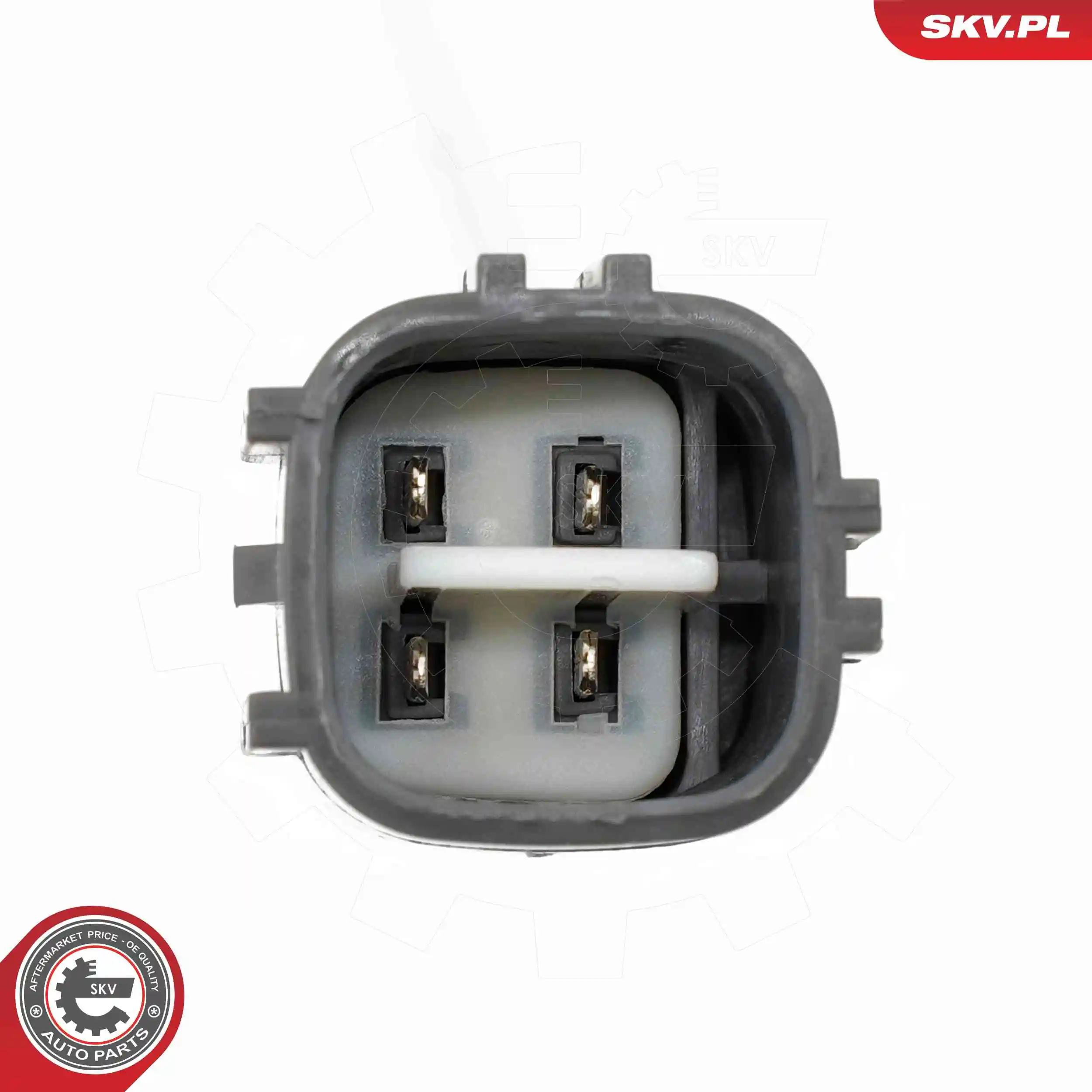 Oxygen Sensor 09SKV194