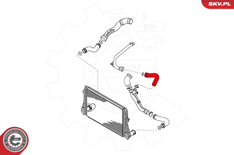 Charge Air Hose 24SKV615